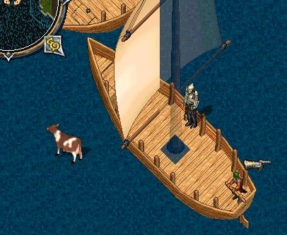 a cow on the sea