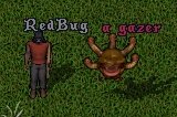 Gazere & RedBug