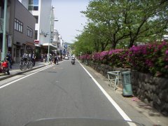 Kamakura1