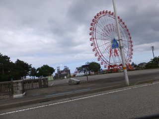 kininari2