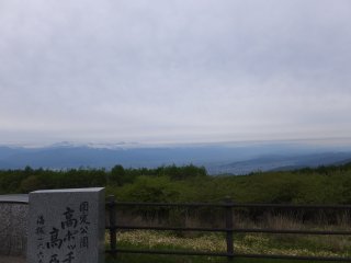 takabocchi 1