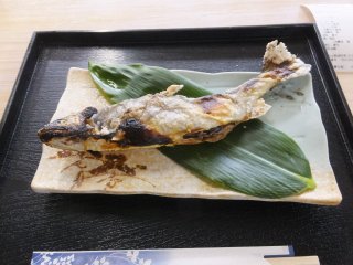 okuadami9