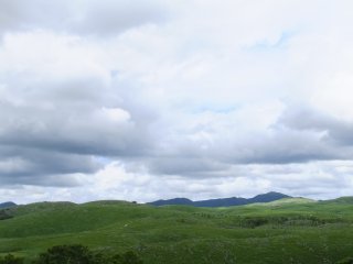 akiyoshidai7